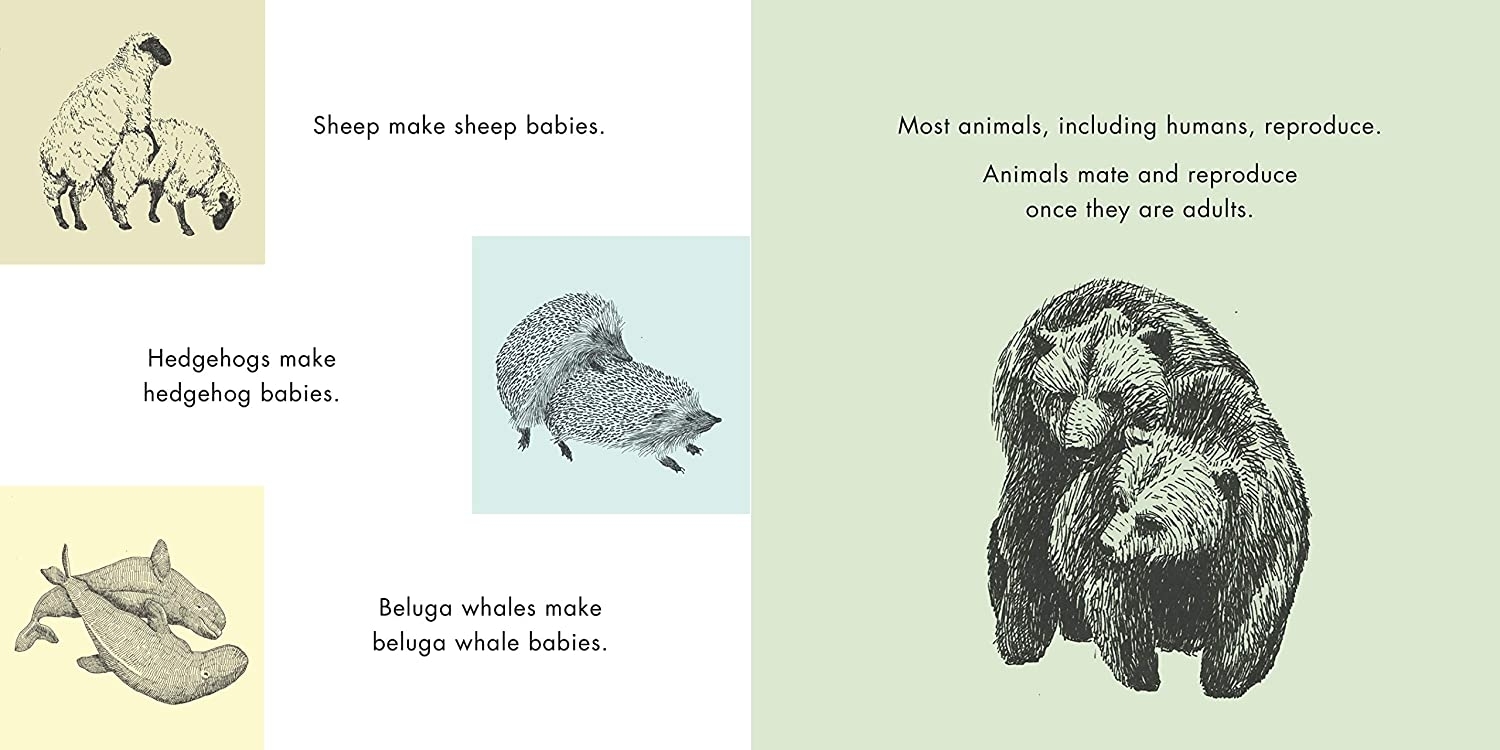 Animals Mate: A Book About Where Babies Come From