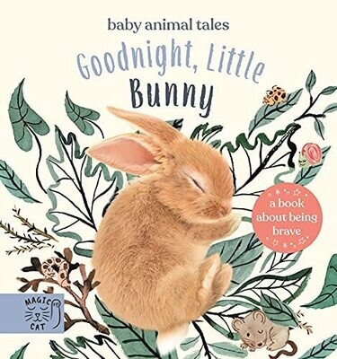 Goodnight, Little Bunny
