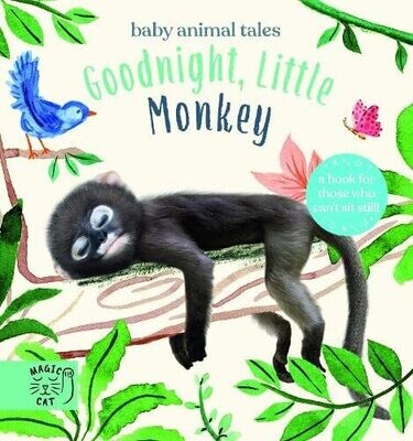 Goodnight, Little Monkey: A Book about being good friends