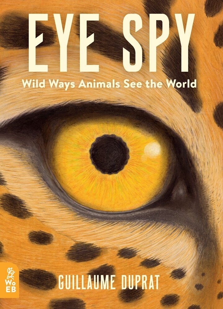 Eye Spy : Wild Ways