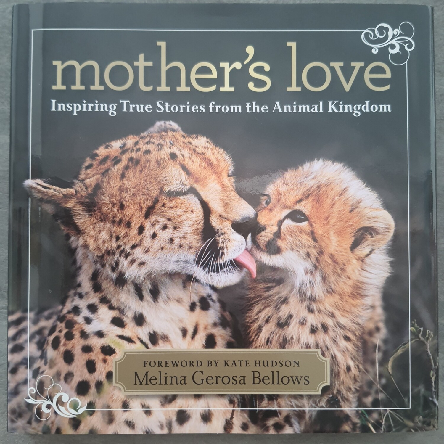 Mother&#39;s Love