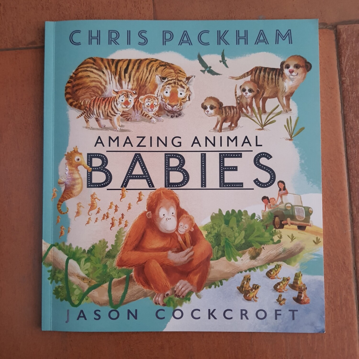 Amazing Animal Babies