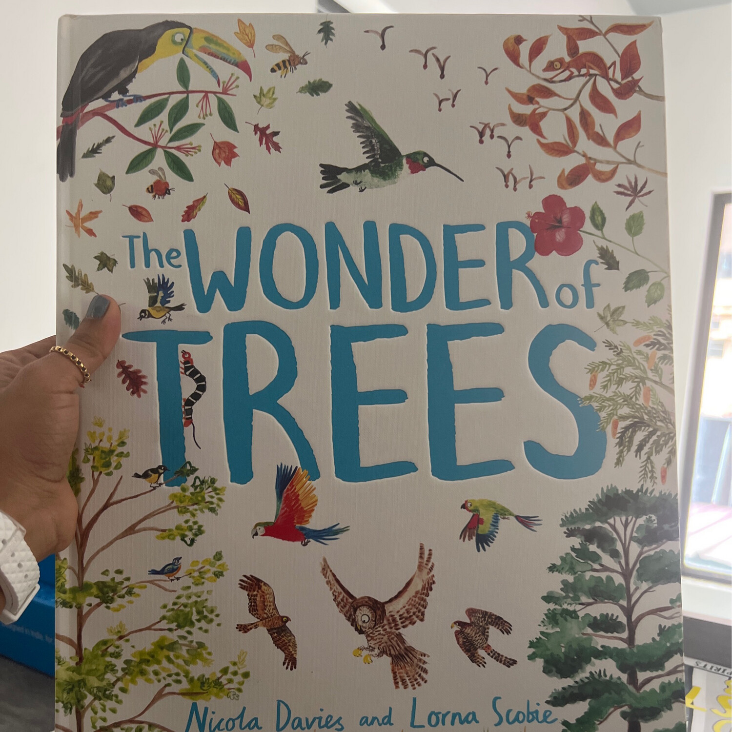 The Wonder Of Trees