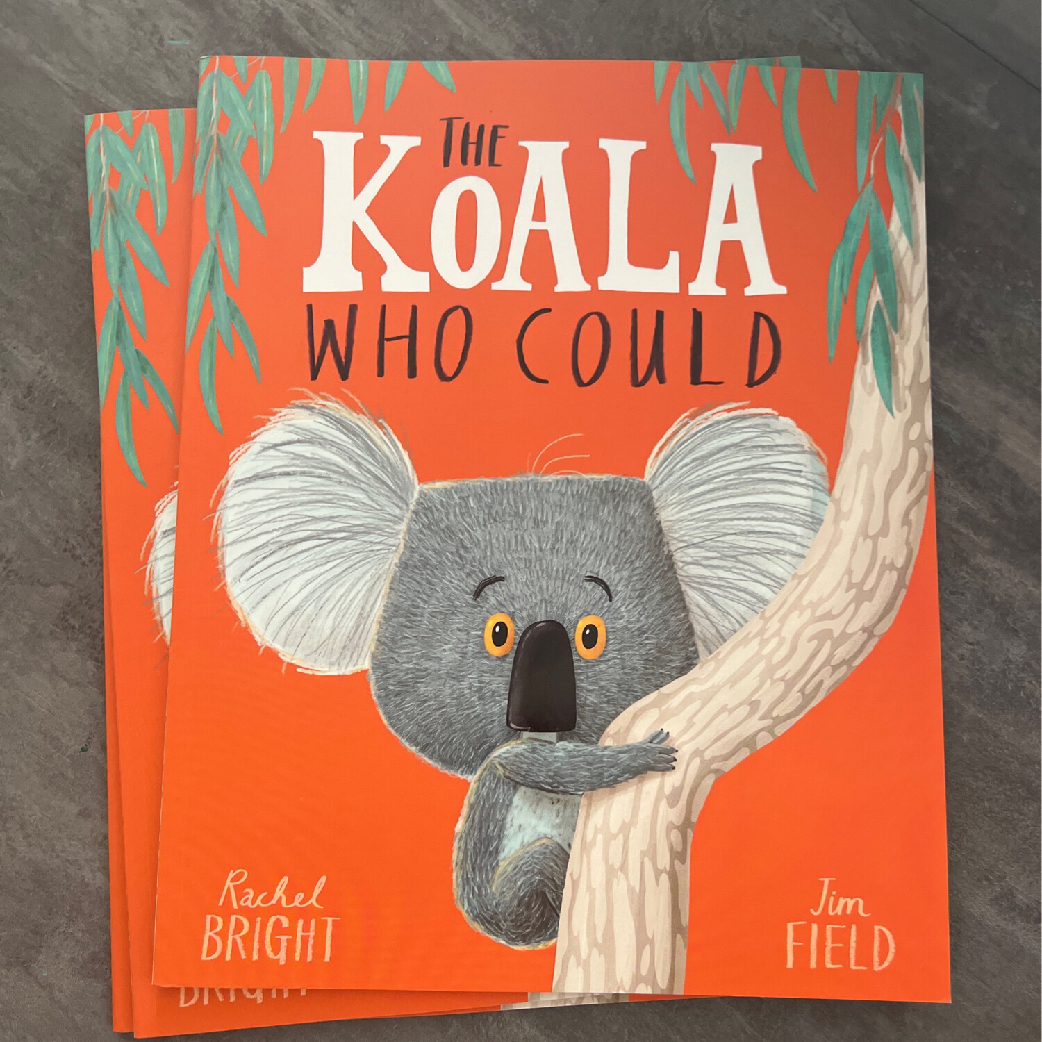 The Koala Who Could