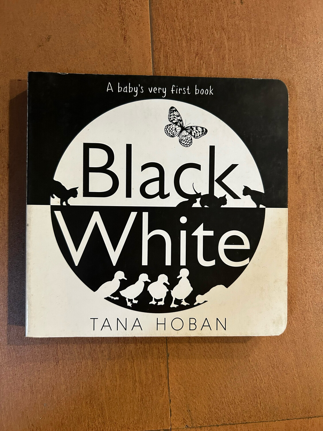 Black And White