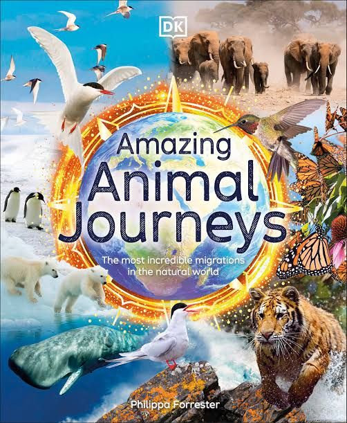 Amazing Animal Journey