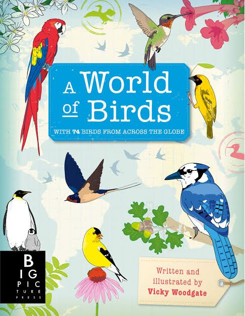 A Word Of Birds