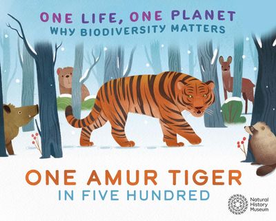 One Amur Tiger In Five Hundred