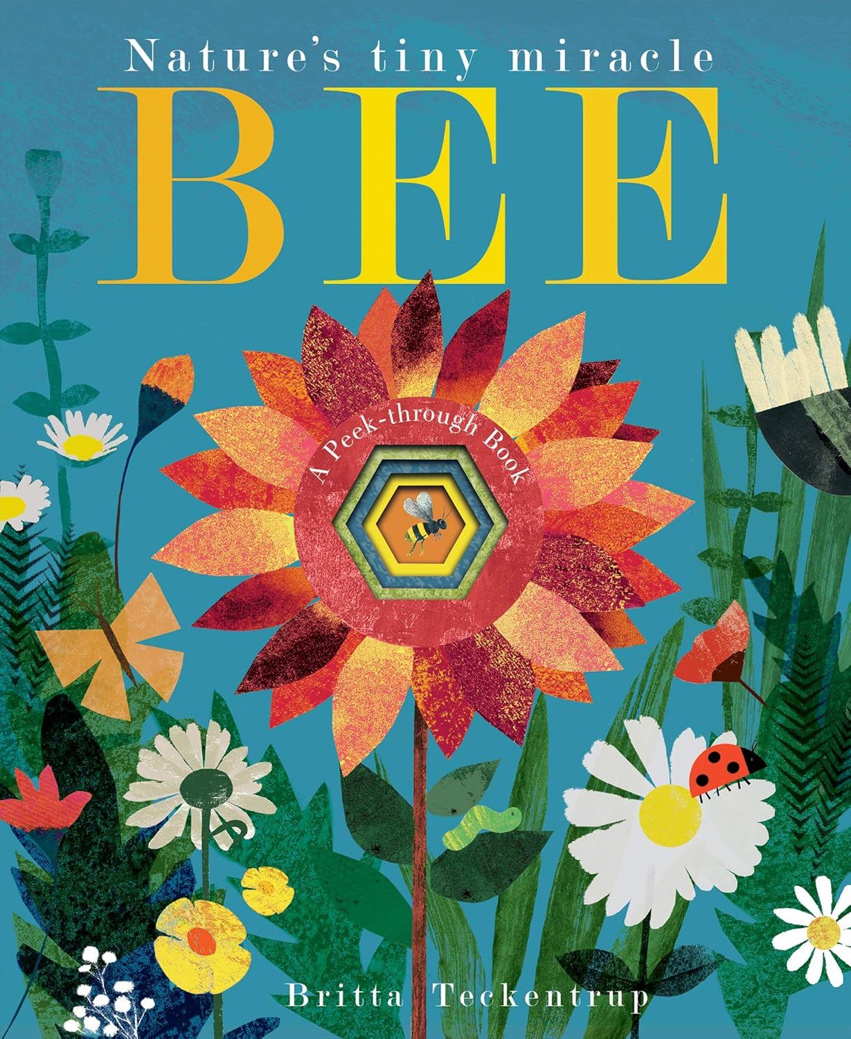 Bee Nature&#39;s tiny miracle