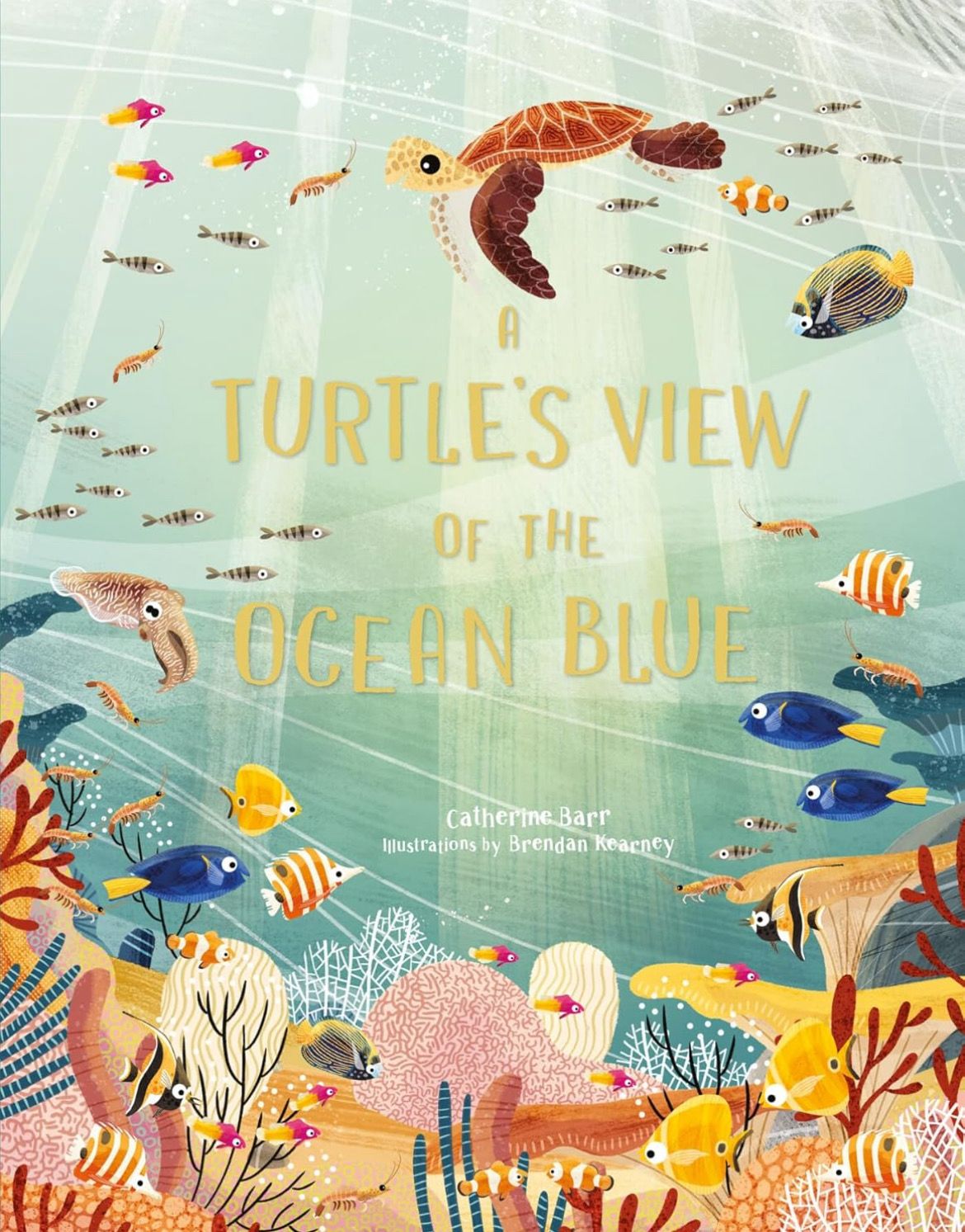 A Turtles View Of The Ocean Blue