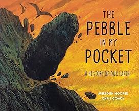 The Pebble In My Pocket
