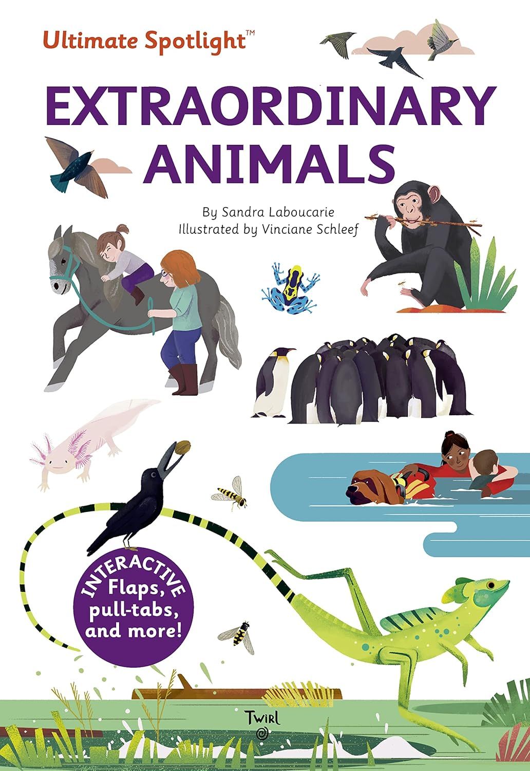 Ultimate Spotlight Extraordinary Animals