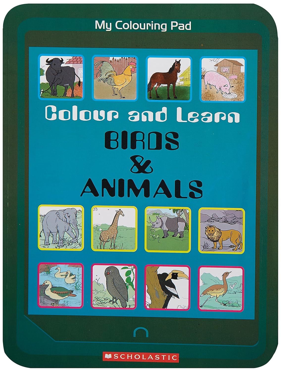 Birds And Animals