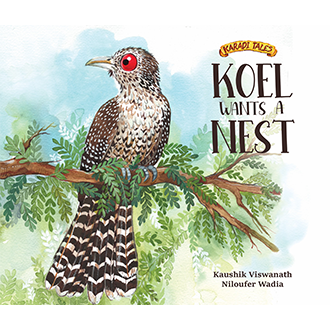 Koel Wants A Nest