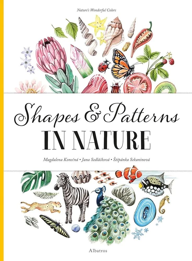 Shapes &amp; Patterns in nature
