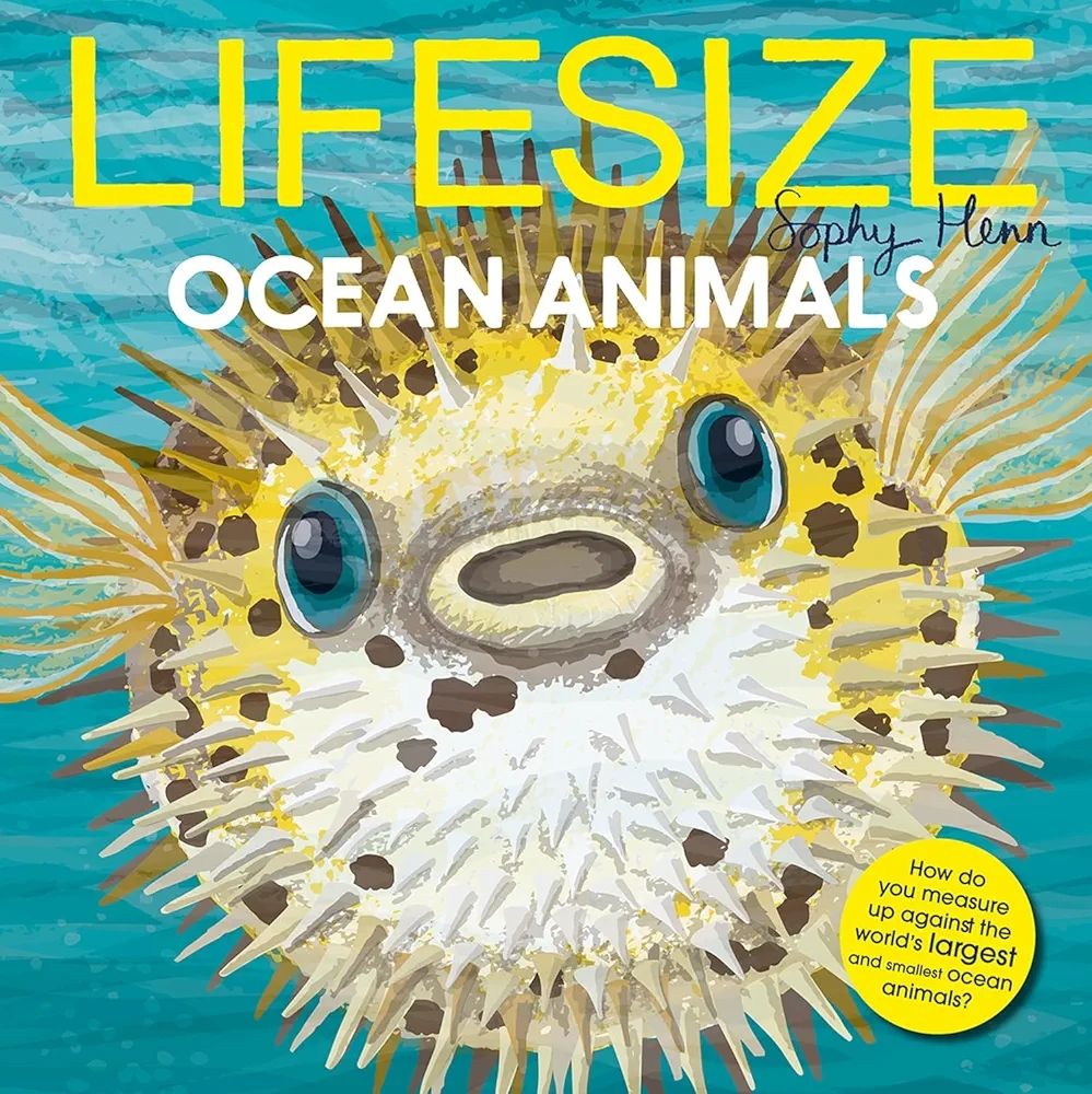 LIFESIZE OCEAN ANIMALS