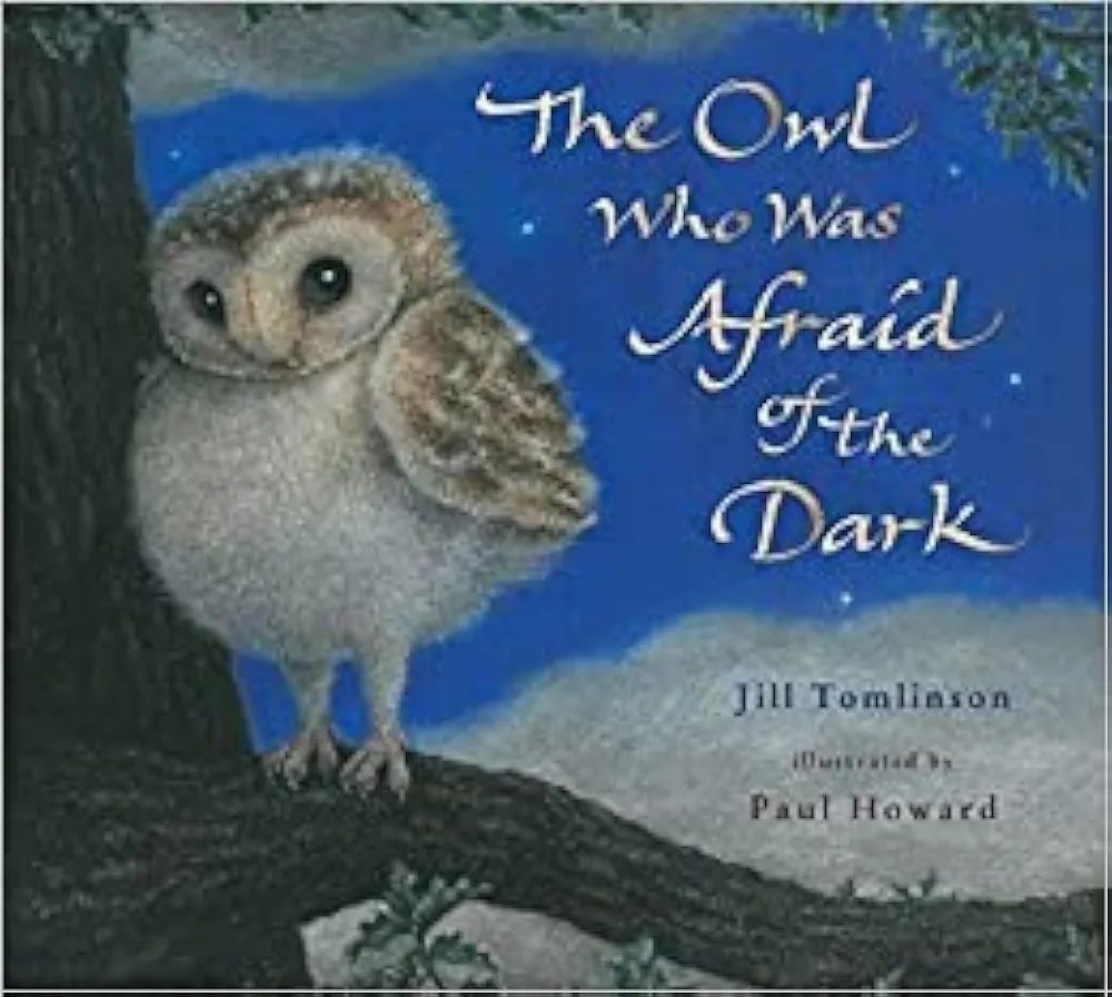 The Owl Who Was Afraid Of The Dark