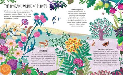 Plant Power