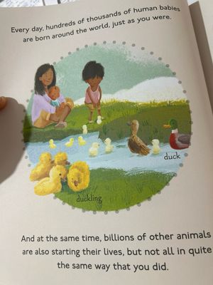 Amazing Animal Babies