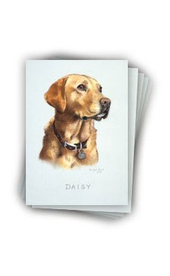 Pack of 5 Daisy note cards and envelopes