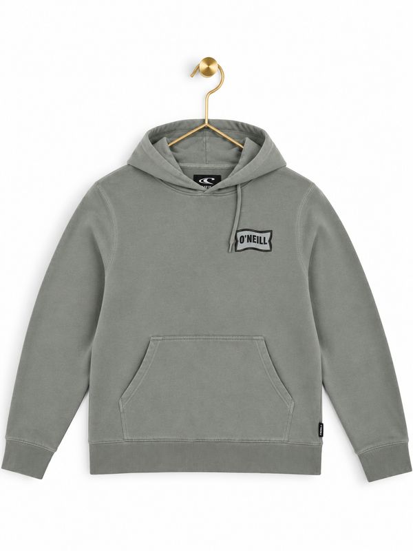 O'Neill Washed Logo Pullover Hoodie, Sage Grey, Size S