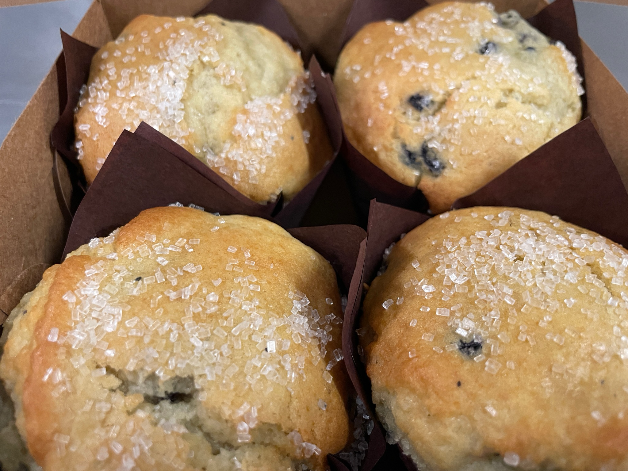 Blueberry Muffins