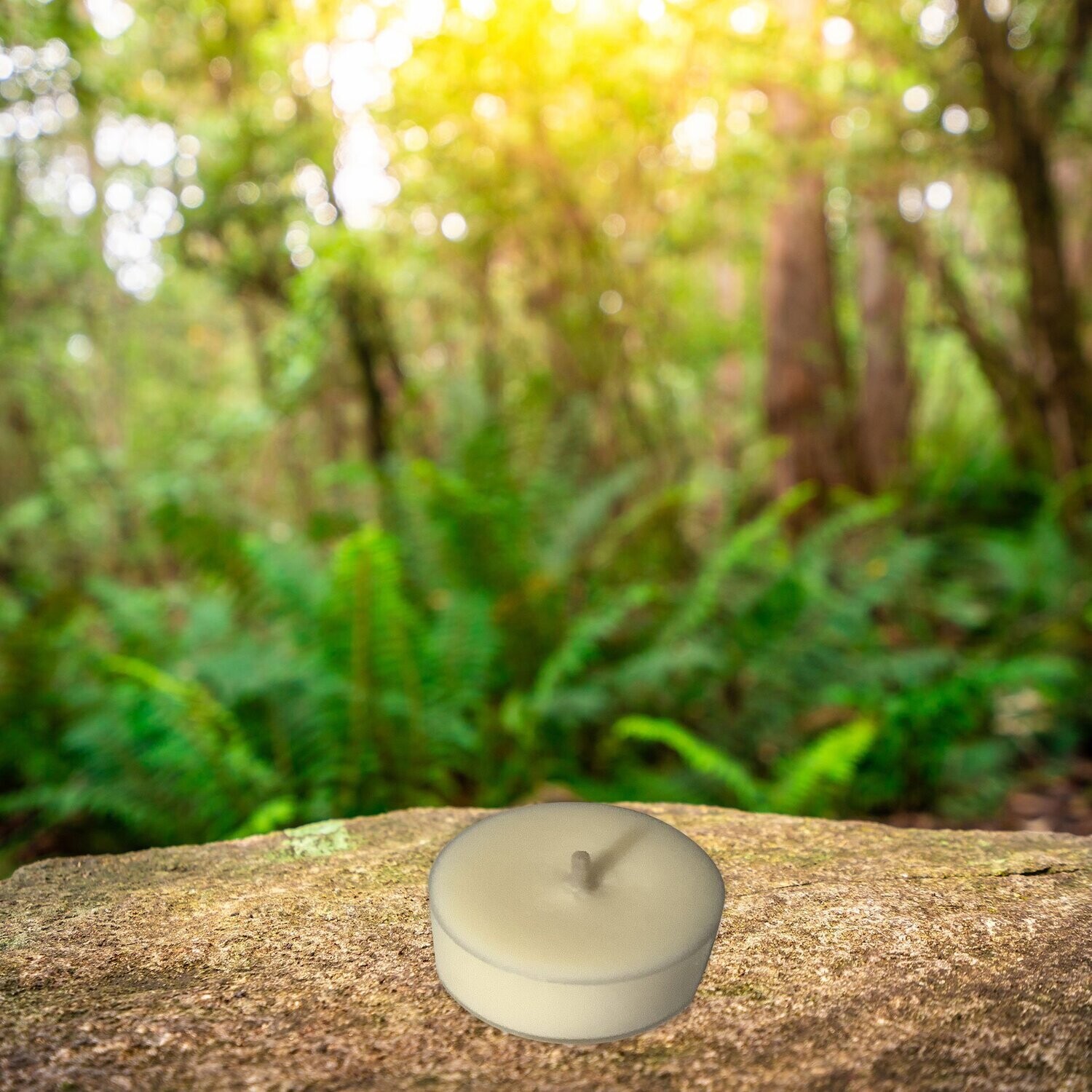 Maxi Tea Lights 4 Pack