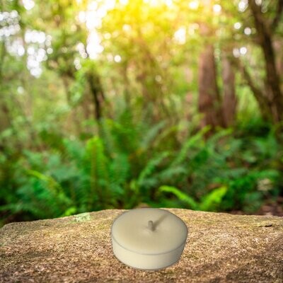 Maxi Tea Lights 4 Pack