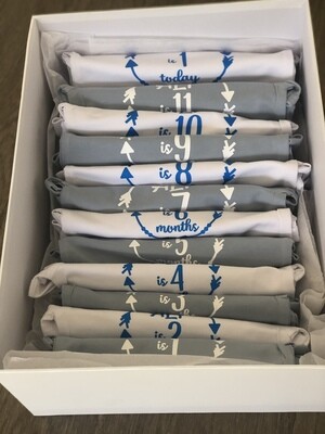 Baby Milestone Monthly Onesie Set