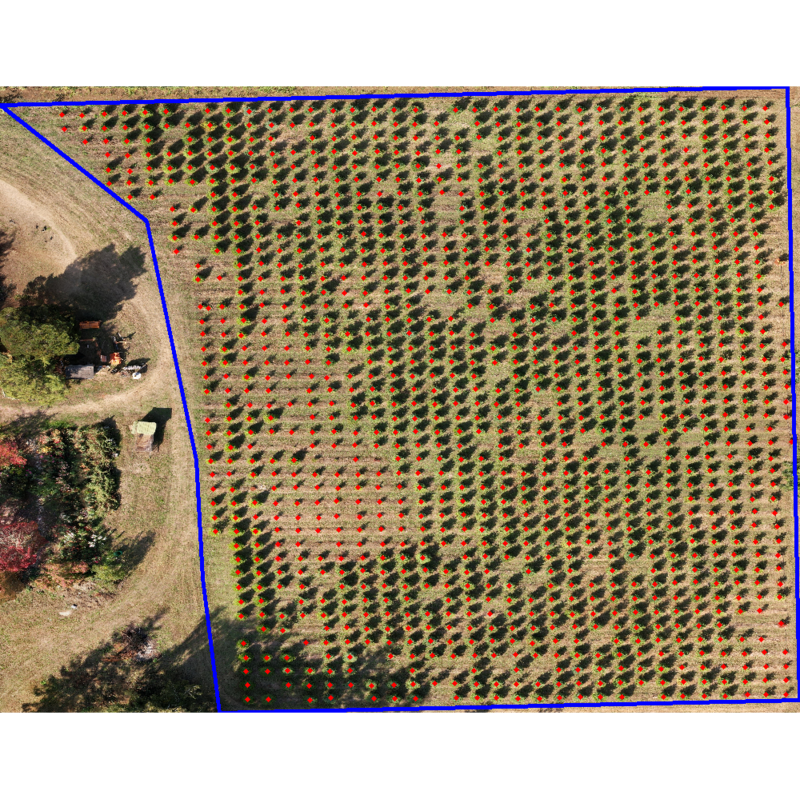 Agricultural Inspection