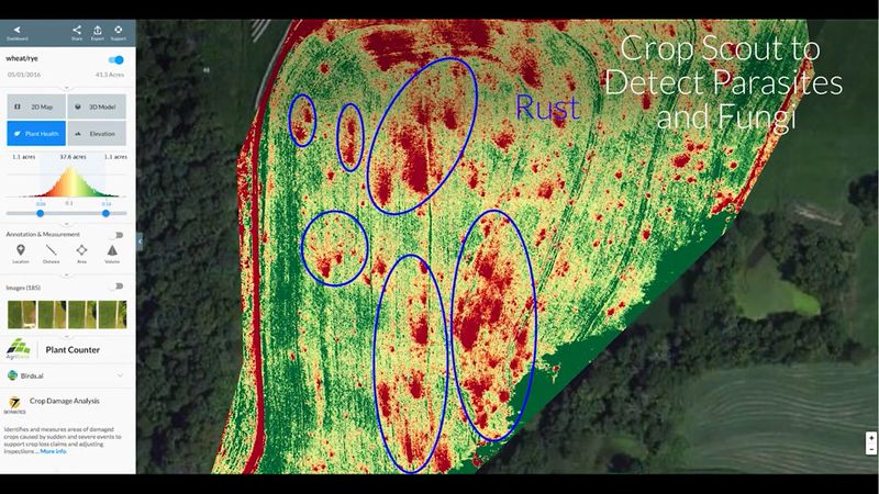 Agricultural Inspection