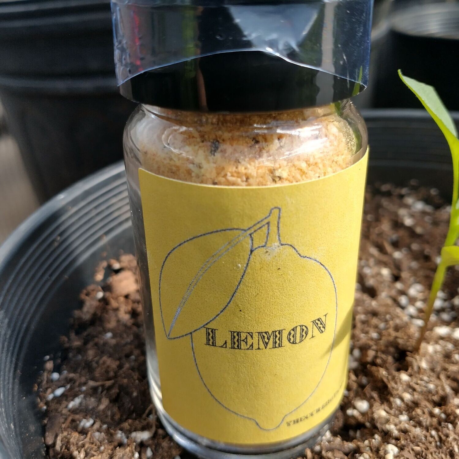 Lemon