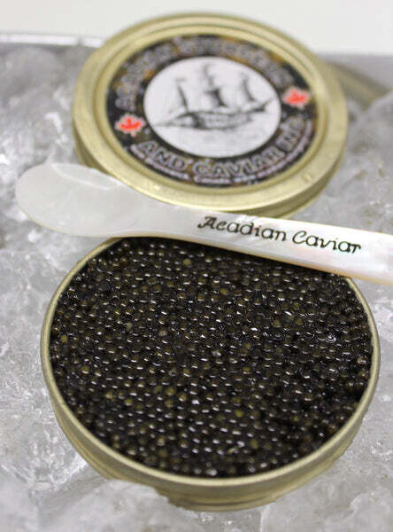 Sturgeon Caviar