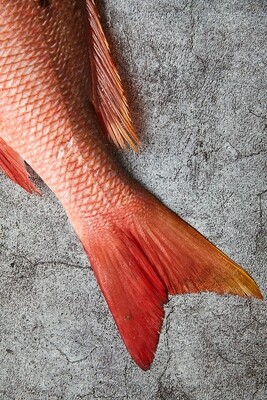 Snapper Fillet Pre-Portioned B/L S/On 6-8oz FZ