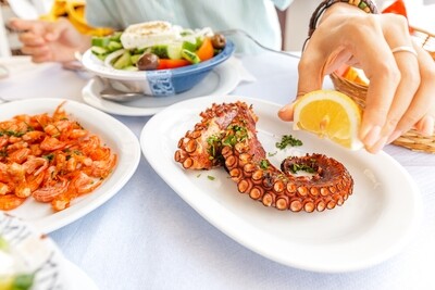 Spanish Octopus 4-6#