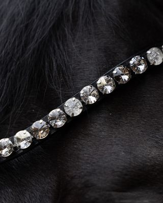 Browbands