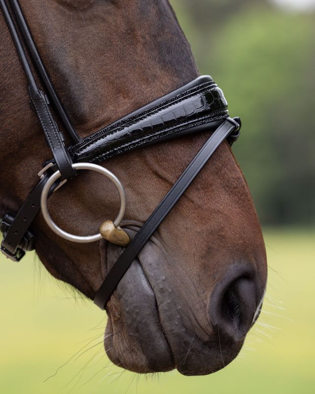 Trense Miami mit Crystals Trense Miami mit Crystals