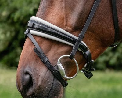 Noseband Barcelona