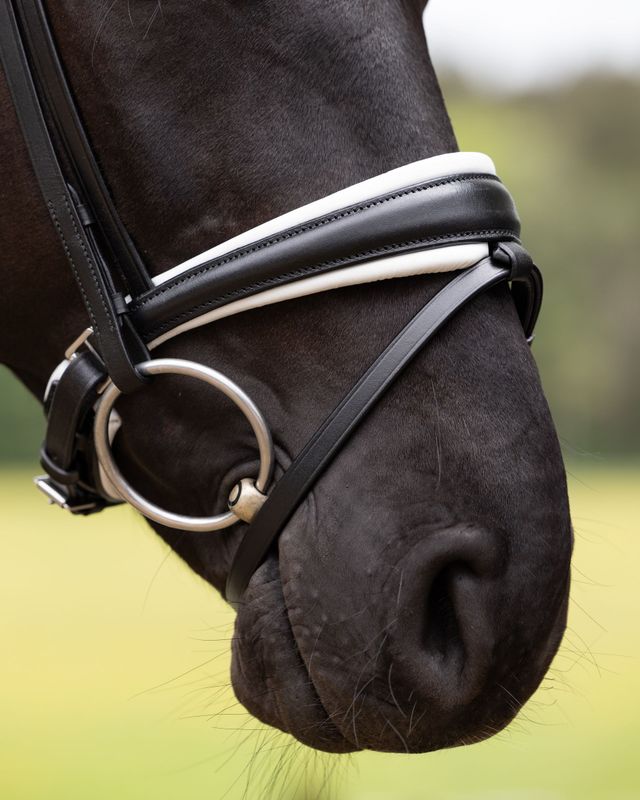 Noseband Barcelona