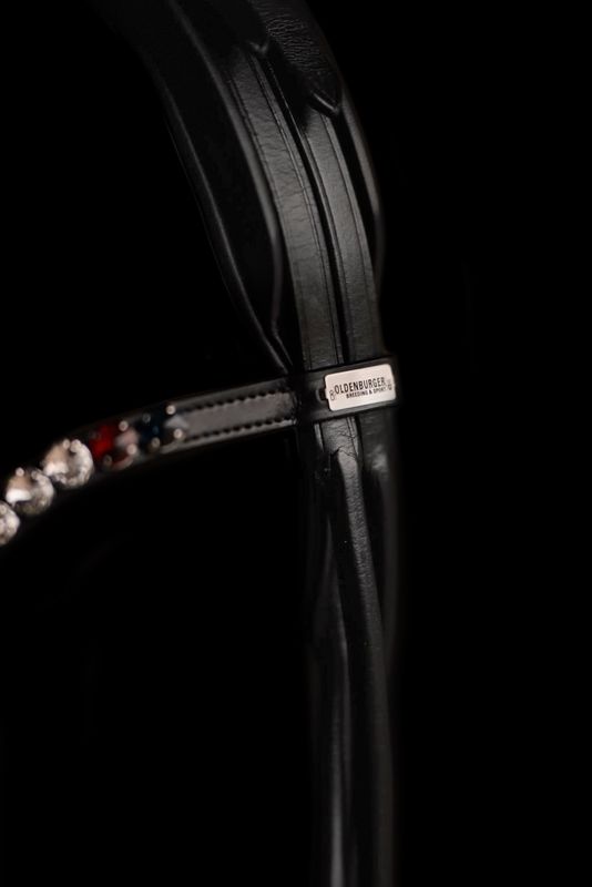 Single Bridle Oldenburg Single Bridle Oldenburg