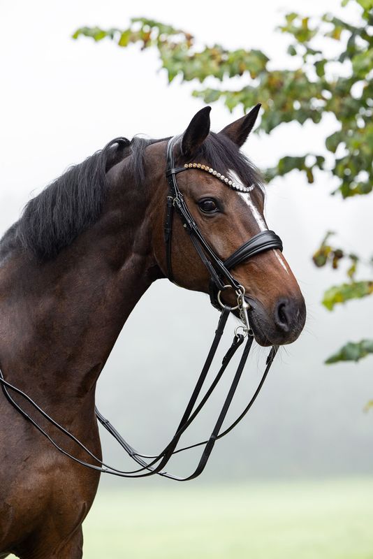 Double Bridle London Double Bridle London