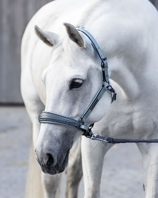 Leather halter (Special order) Leather halter (Special order)