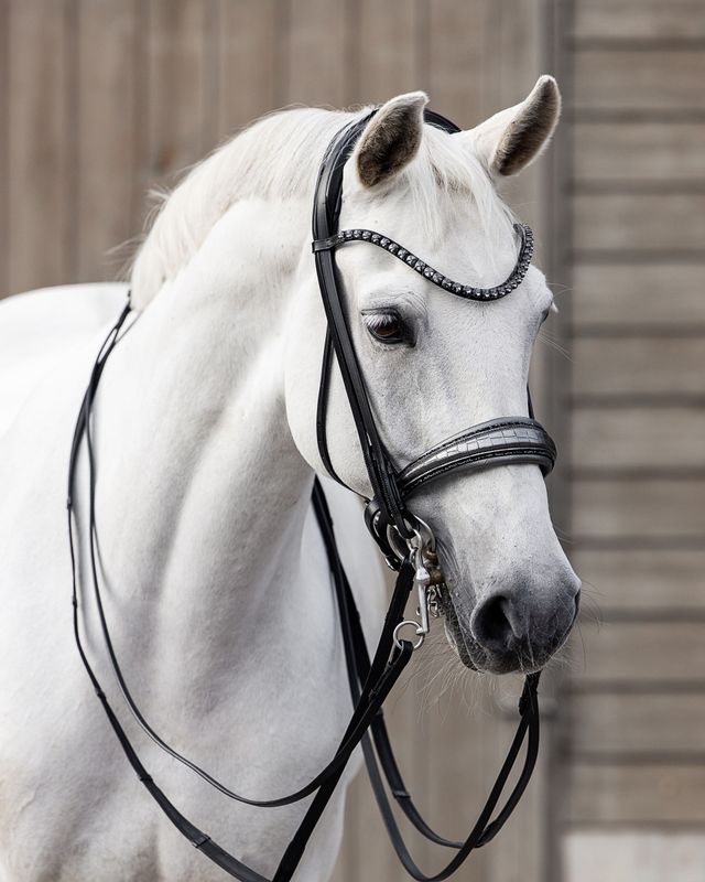 Sonderanfertigung Kandare Sonderanfertigung Kandare