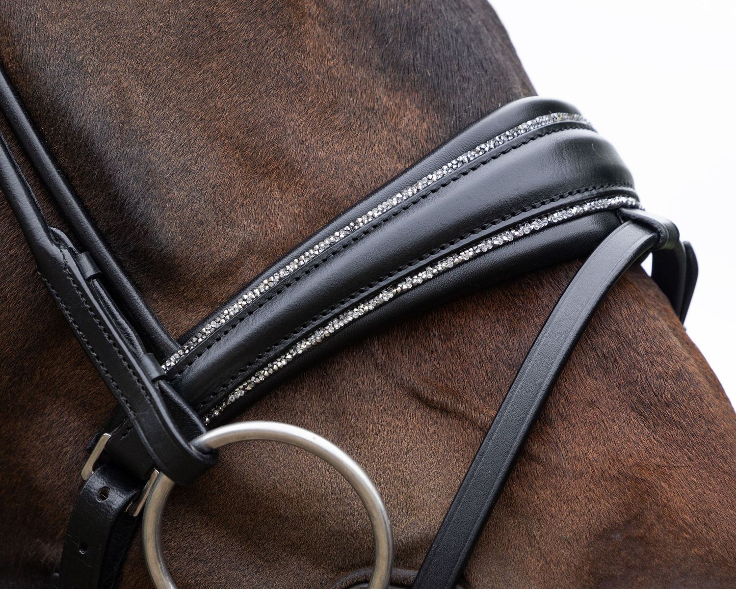 Single Bridle Barcelona slim, Flash Strap: with flash strap