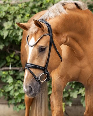 Single Bridle Barcelona slim