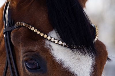 Slim browband