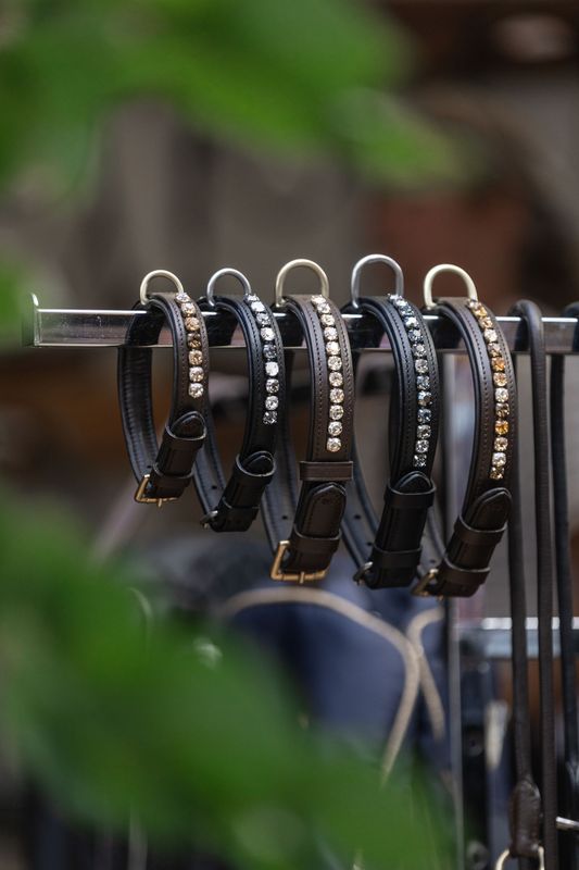 Dog collar