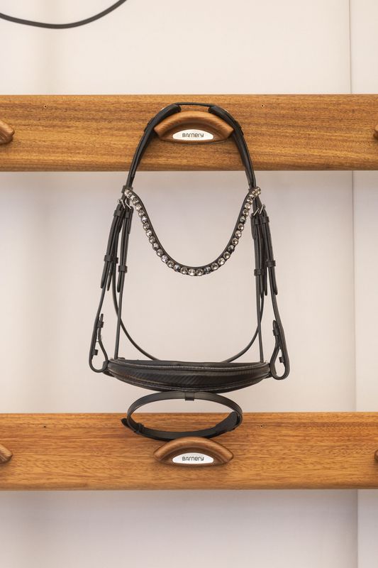 Sonderanfertigung Trense Sonderanfertigung Trense