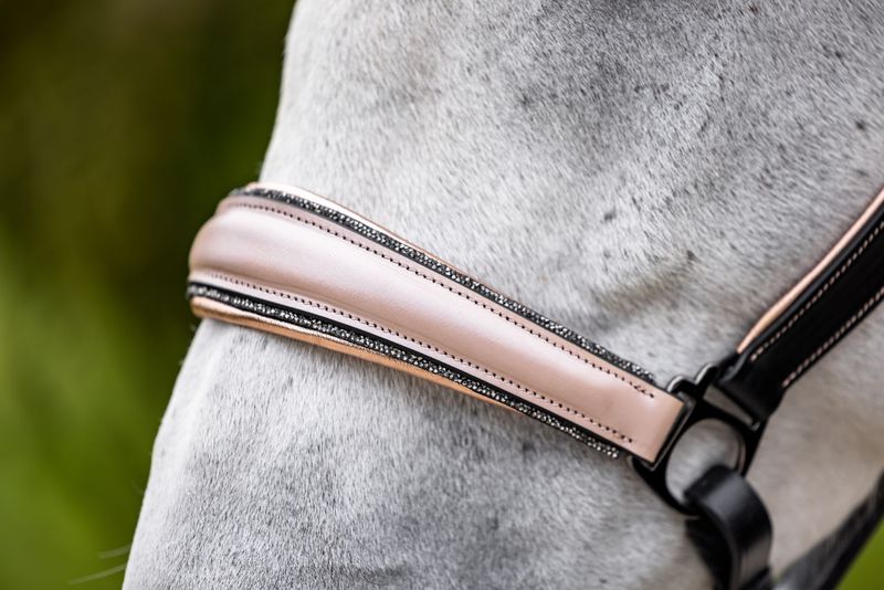 Halfter Boston (Limited Editions), Rosé Halfter Boston (Limited Editions), Rosé