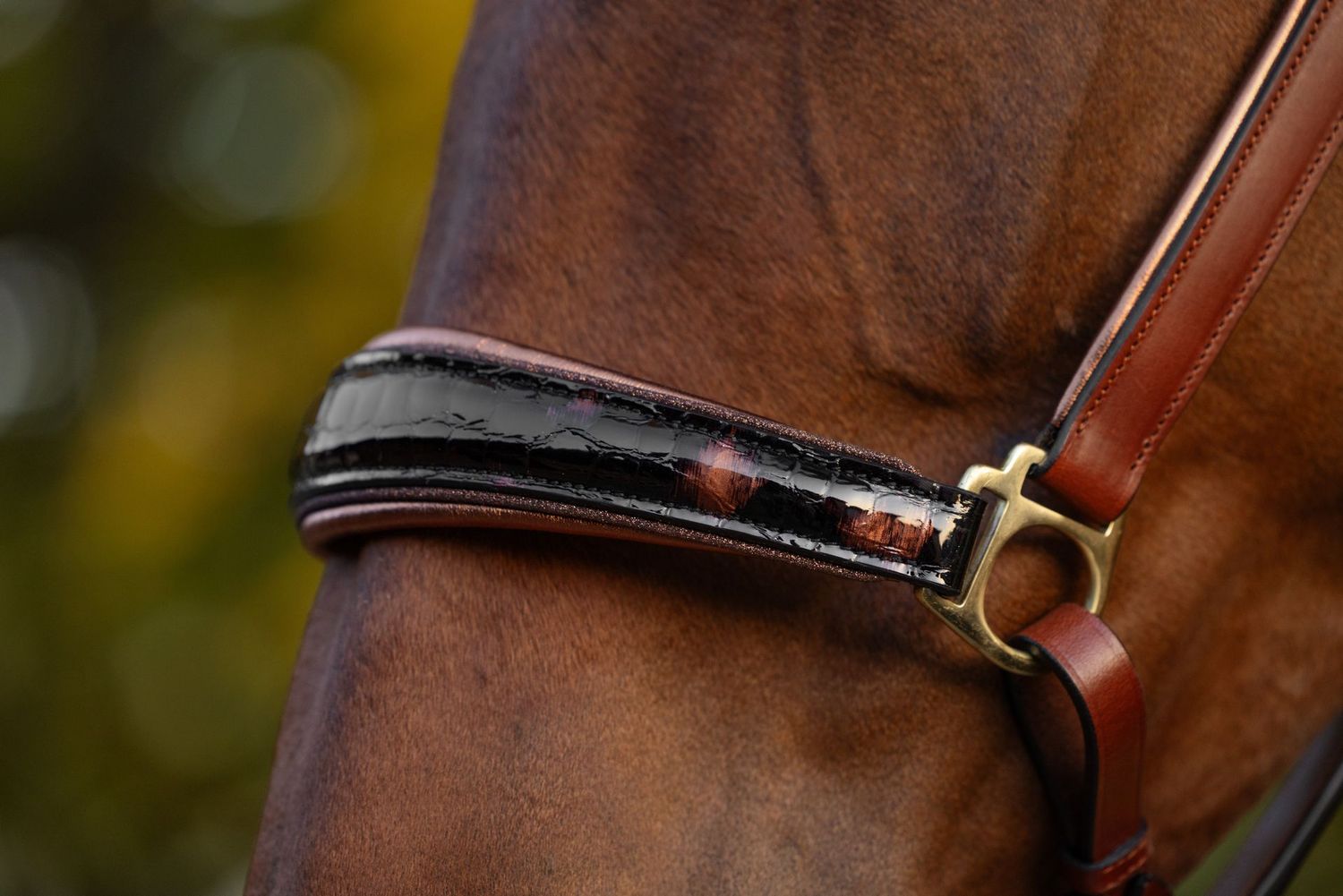 Halfter Boston (Limited Editions), Havanna